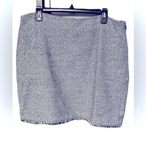 Beautiful blue,bone with hint of silver skirt NWT